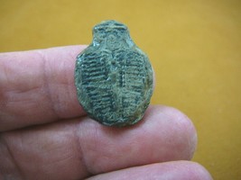 (F704-120) Trilobite fossil trilobites extinct marine arthropod I love f... - $13.09