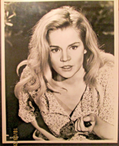 TUESDAY WELD : (VINTAGE 1960,S MOVIE PHOTO) CLASSIC SEXY TUEDAY WELD - $1,480.38 MXN