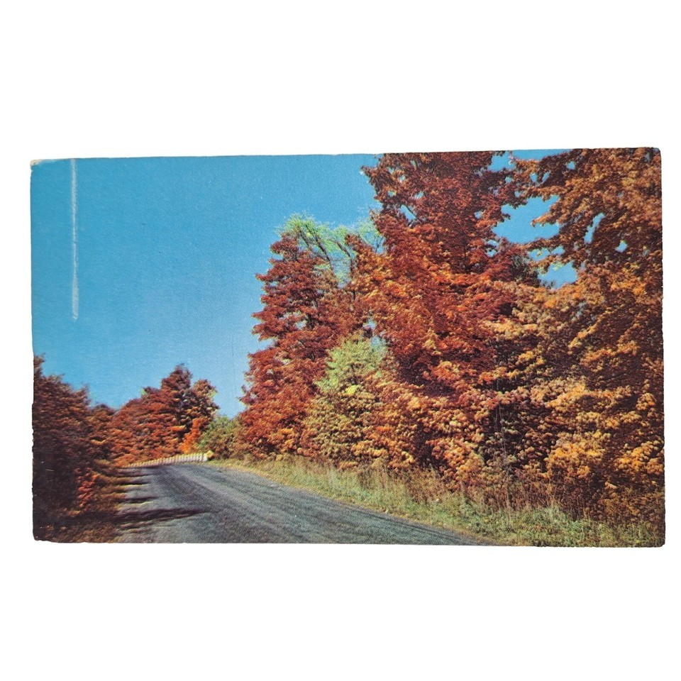 Postcard Lovely Is Autumn Fall Leaves Trees Orange Leaves Chrome Unposted - $4.84