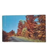 Postcard Lovely Is Autumn Fall Leaves Trees Orange Leaves Chrome Unposted - $4.84