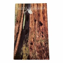 Giant Sequoias by H. T. Harvey, H. S. Shellhammer, R. J. Hartesveldt - $8.90