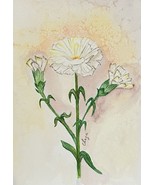 Original Watercolor Painting Of January Birth Month Flower, A Carnation - $45.54