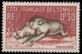 1958 French Somali Coast Stamp - Warthog 0.30Fr 1013 - £1.19 GBP
