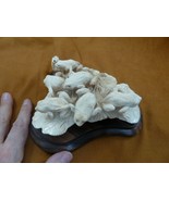 FROG-21 Lily pad of 7 Frog shed ANTLER figurine Bali detailed carving lo... - $204.75