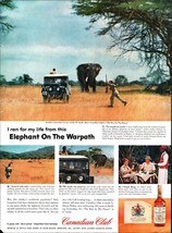 1958 Canadian Club Whiskey Alcohol Vintage Print Ad Elephant African Saf... - £20.71 GBP