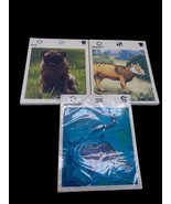 Weekly Reader Animal Fact Cards NEW Sealed Vintage 3 Packs Prehistoric M... - €29,00 EUR