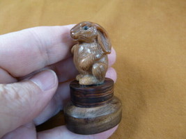 (tb-rab-6) little bunny foo foo Tagua NUT palm figurine Bali carving bab... - £33.45 GBP