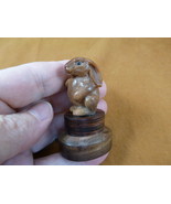 (tb-rab-6) little bunny foo foo Tagua NUT palm figurine Bali carving bab... - £33.45 GBP