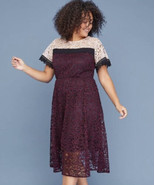 Lane Bryant Colorblock Lace Dress Size 14 NWT - £19.72 GBP