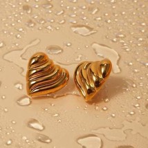 Stainless Steel Heart Shape Stud Earrings - $12.48+