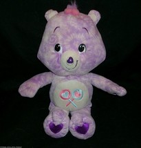 14" Big Care Bears Share Bear Purple Stuffed Animal Plush Doll Toy 2007 Suckers - $19.00