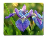 Flower Iris Metal Print, Flower Iris Metal Poster - £9.51 GBP