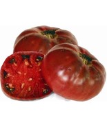 Cherokee Purple Tomato Seeds Tomato Seeds Unusual Look Taste 50Ct New Fr... - €8,63 EUR