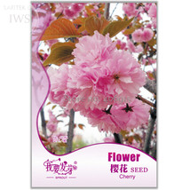 New Fresh Perennial Plant Japanese Cherry Trees Potted Bonsai Seeds Pack... - $68.96 MXN