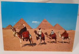 Egypt Cairo Camel Caravan near Giza Pyramids Postcard Vintage Post Card - £5.51 GBP