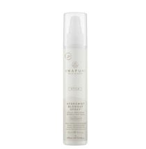 Paul Mitchell Awapuhi Wild Ginger Hydromist Blow-Out Spray 5.1 oz - £28.66 GBP