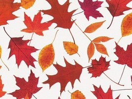 Gift Tissue Paper Made in USA 20x30&quot; Set of 12 Sheets, Autumn Leaves - $142.65 MXN