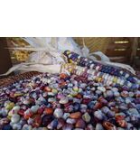 Painted Mountain - unique corn developed  from Montana Native varieties - $5.50