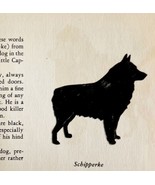 Schipperke 1939 Dog Breed Art Ole Larsen Color Plate Print Antique PCBG18 - $29.99