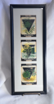 Antiq Card Seed Co Fredonia NY Herb Seed Packets Matted &amp; Framed Vertical - £31.89 GBP