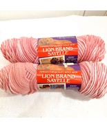 Lion Brand Sayelle yarn #246 blush ombre pink variegated 2 skeins 4 Ply ... - $399.14 MXN
