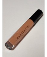 Anastasia Beverly Hills ABH Lip Gloss Undressed Full Size NWOB - €18,68 EUR
