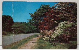 Flora Illinois, Scenic View Postcard C11 - £3.13 GBP