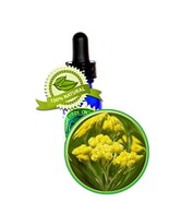 IMMORTELLE (Life Everlasting) Herbal Oil Extract - 1oz/30ml - Helichrysu... - $14.69