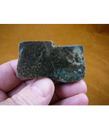 (DF601-69) 2 oz Fossil REAL DINOSAUR POOP Coprolite Dino Utah Jurassic D... - $17.99