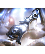 HAUNTED NECKLACE SARCED WOLF TRANSFORMATION HIGHEST LIGHT COLLECT MAGICK - $629.77