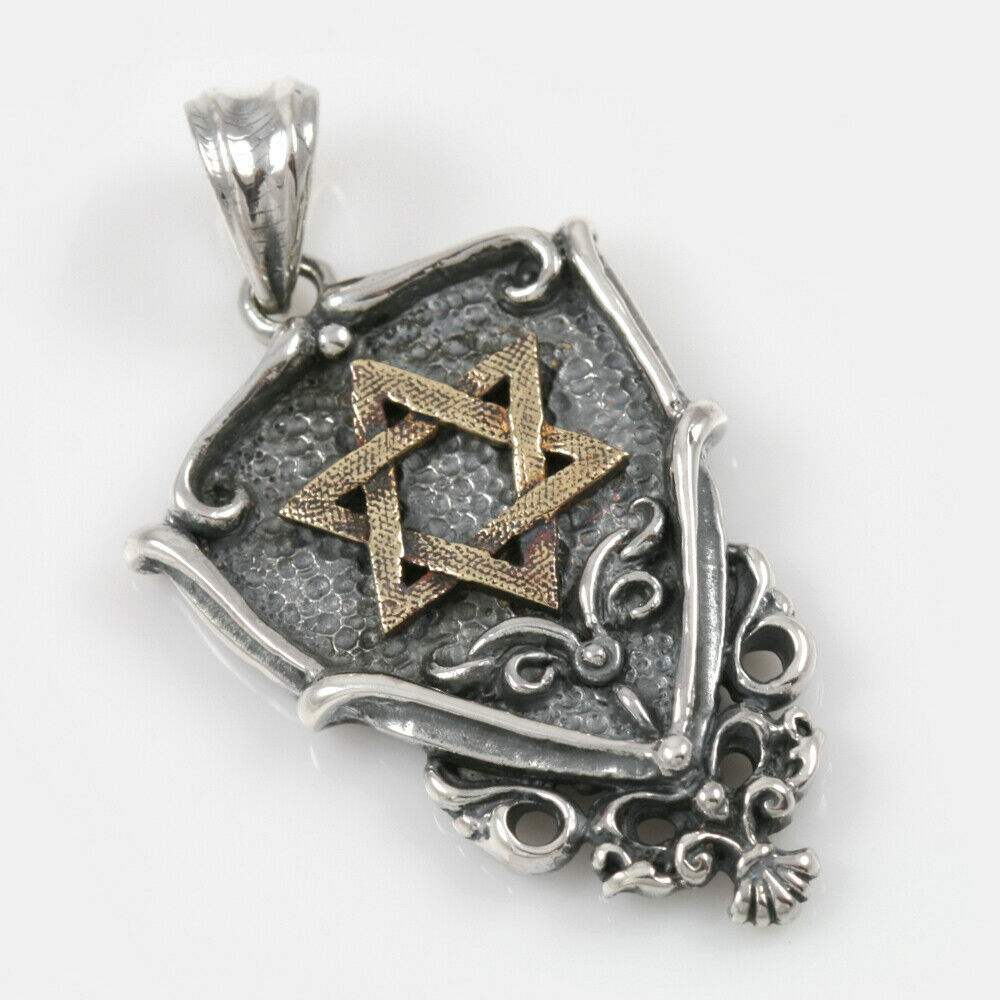 Shield w/Star of David Two Tone Bronze &amp; Sterling Silver Pendant GI™ Sta... - $148.50