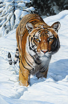Snow Leopard Wildlife Jungle Cats Tiger Ceramic Tile Mural Backsplash Medallion - £47.76 GBP+