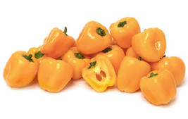 Baby Yellow Pepper - 20 Seeds - Miniature Bell - £20.72 GBP