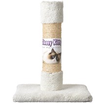 Classy Kitty Cat Decorator Scratching Post Carpet &amp; Sisal Assorted Colors - £83.37 GBP