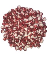 Freeze Dried Watermelon Sandía Chilito Sweet &amp; Spicy Mexican Crunchy Can... - $9.99