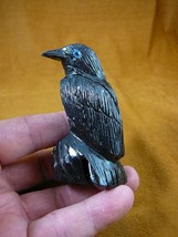 (Y-BIR-RA-318) Black Raven Crow Onyx Carving Peru Figurine Bird Noir Ravens - £21.92 GBP