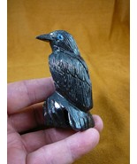 (Y-BIR-RA-318) BLACK RAVEN CROW Onyx carving PERU figurine bird Noir ravens - $519.64 MXN