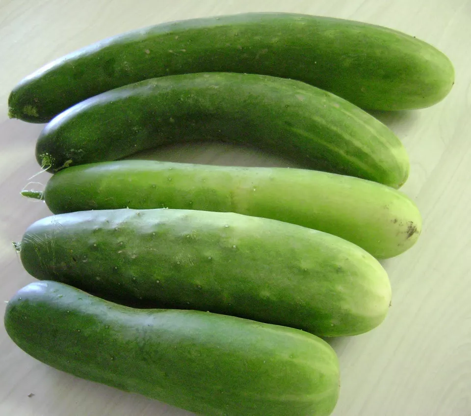 BStore 30 Seeds Garden Sweet Cucumber Burpless Organic Non Gmo - $9.39