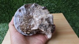Item image 12