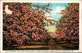 Apple Blossom National Highway between Cumberland &amp; Hagerstown MD Postca... - £3.96 GBP