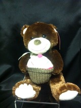 Birthday Bear - Brown Bear with Cupcake Plush Stuff Animal ~11&quot; - £5.77 GBP