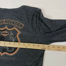 Harley Davidson Shirt Women’s Large Gray Long Sleeve Smoky Mountain Tennessee image 8