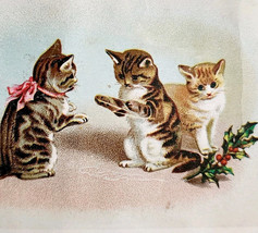 C1900s Victorian Trade Card Kittens Playing Christmas Lithograph Antique E98D - £15.46 GBP