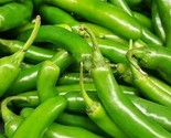 Serrano Pepper Seeds 50 Hot Pepper Spicy Vegetable Culinary Salsa Fast S... - $8.99
