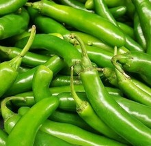 Serrano Pepper Seeds 50 Hot Pepper Spicy Vegetable Culinary Salsa Fast Shipping - £7.04 GBP