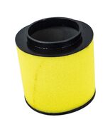 Honda Big Red 700 Foreman 500 Pioneer 700 Rincon 680OEM Air Filter 17254... - $30.79 CAD