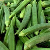 Okra Clemson Spineless Seeds 50 Ct Vegetable NON-GMO Usa Seller - £6.68 GBP