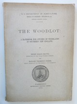 Woodlot Handbook forests New England Graves 1903 vintage silverculture - £10.99 GBP
