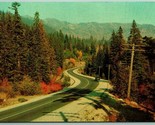 Autumn Scene Stevens Pass Highway Washington WA UNP Unused Chrome Postca... - £2.09 GBP