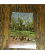 Vintage Santa Anita park horse racing picture unused postcard travel sou... - $375.38 MXN
